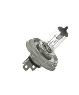 Glühbirnen (Glühlampen)