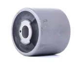 Achskörperlager