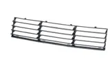 Stoßstange Gitter