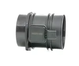 Luftmassenmesser (LMM)