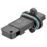 Luftmassenmesser (LMM)