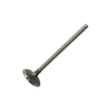 Einlaßventil