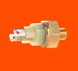 Thermoschalter