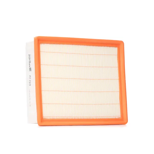 PURFLUX Luftfilter Filtereinsatz