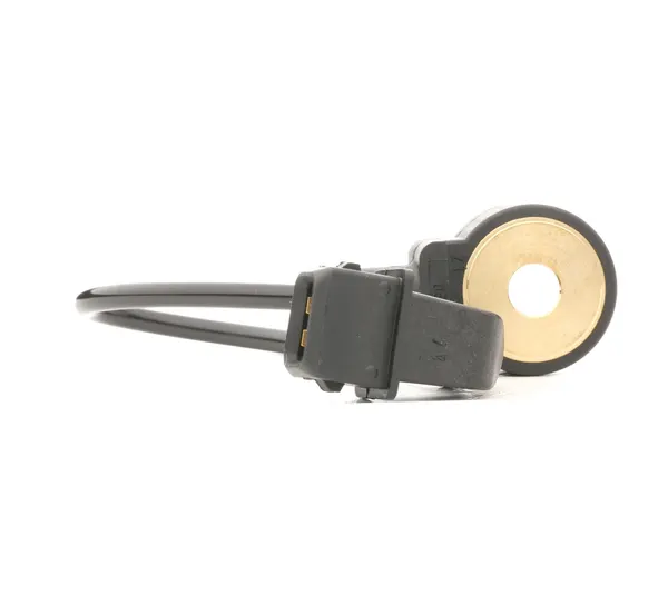 Bosch Klopfsensor