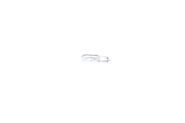 Bosch Glühlampe, Leseleuchte Pure Light WS