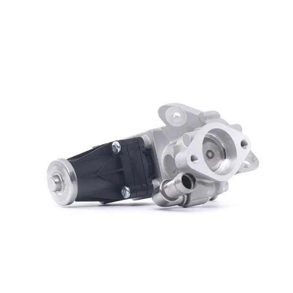 RIDEX AGR-Ventil Magnetventil