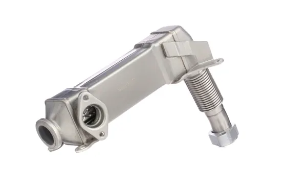 RIDEX AGR-Ventil