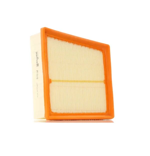PURFLUX Luftfilter Filtereinsatz