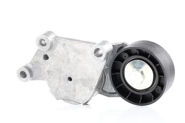 DAYCO Riemenspanner