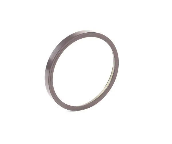 RIDEX ABS Ring Hinterachse beidseitig