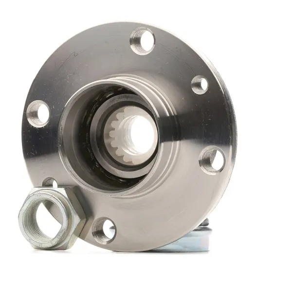 SKF Radlagersatz