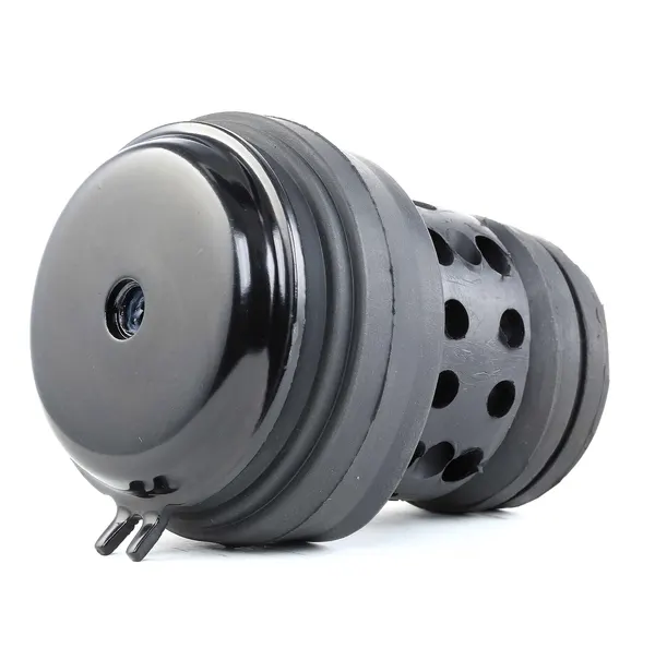 RIDEX Motorlager vorne links