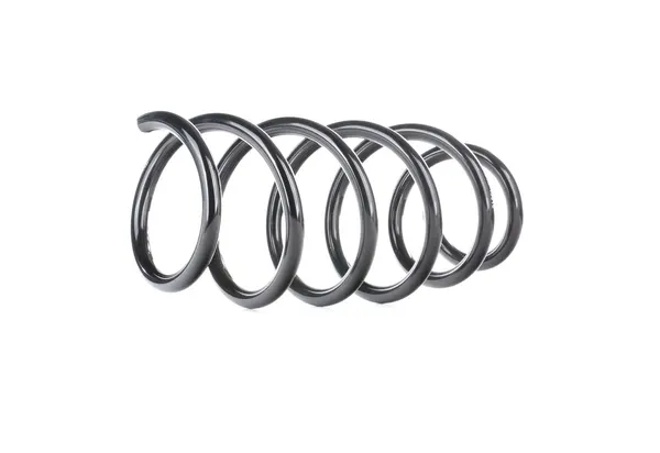 RIDEX Fahrwerksfeder Vorderachse
