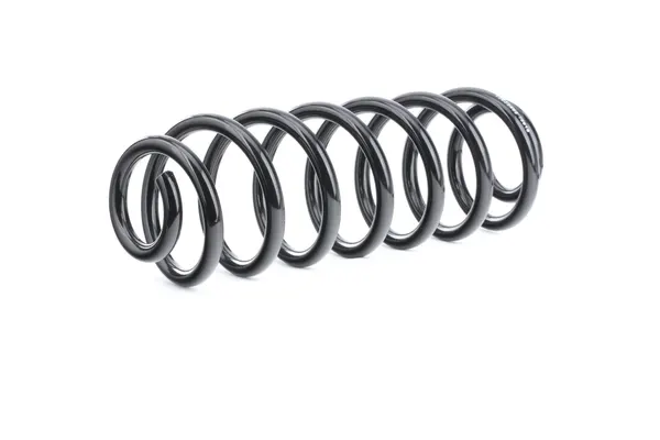 RIDEX Fahrwerksfeder Hinterachse