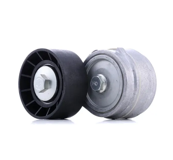 SKF Spannrolle mit Befestigungsmaterial