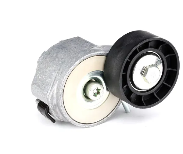SKF Spannrolle mit Befestigungsmaterial