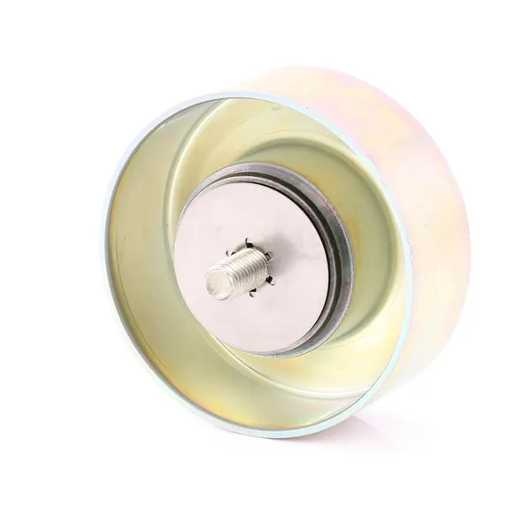 SKF Umlenkrolle mit Befestigungsmaterial