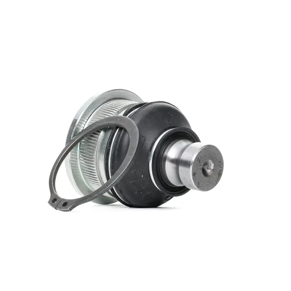 SKF Traggelenk mit synthetischem Fett