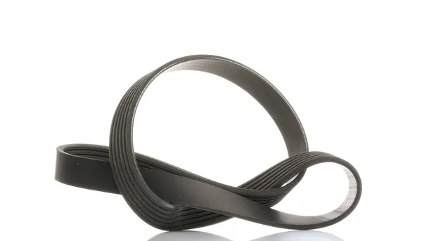 SKF Keilrippenriemen