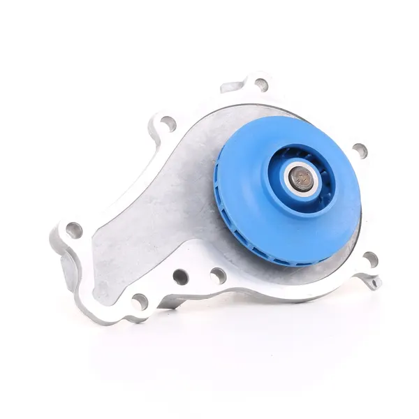 SKF Wasserpumpe Aquamax Zähnez.: 19