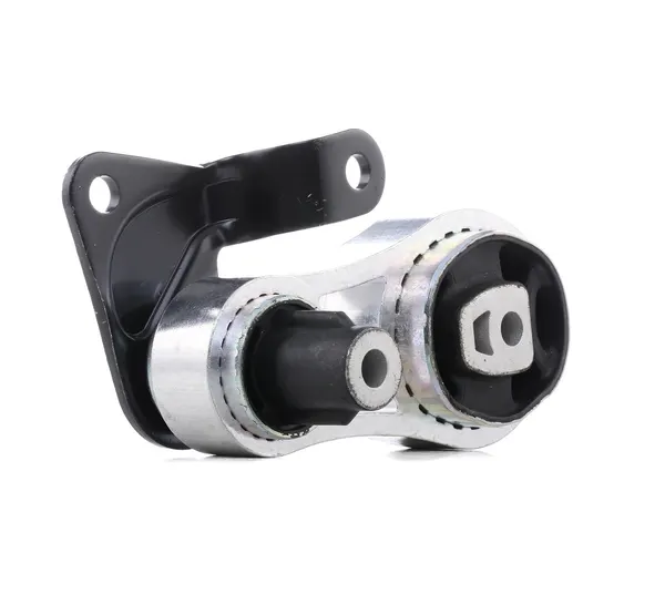 Delphi Motorlager hinten