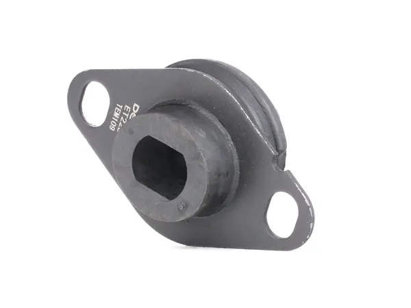 Delphi Motorlager hinten
