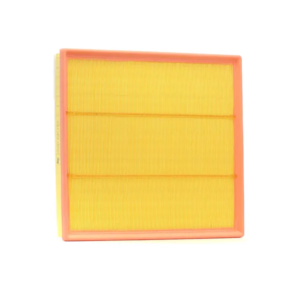 FEBI BILSTEIN Luftfilter Filtereinsatz