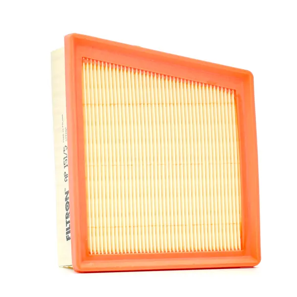 FILTRON Luftfilter Filtereinsatz