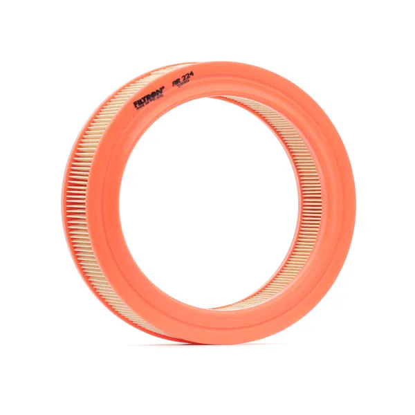 FILTRON Luftfilter Filtereinsatz