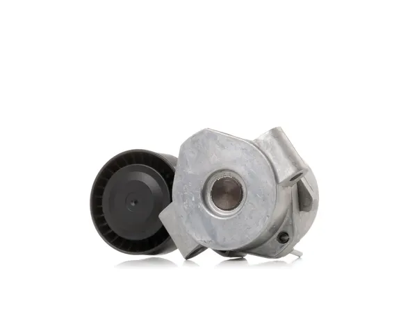 RIDEX Spannrolle