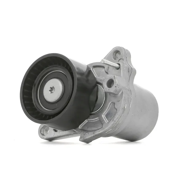 RIDEX Spannrolle