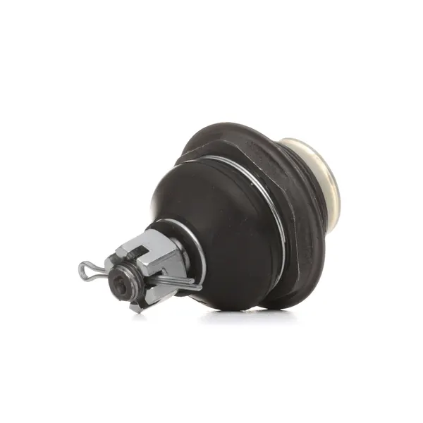 SKF Traggelenk mit synthetischem Fett