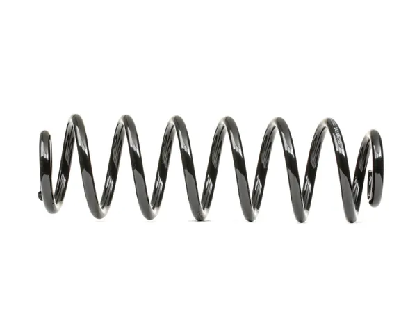 RIDEX Fahrwerksfeder Hinterachse