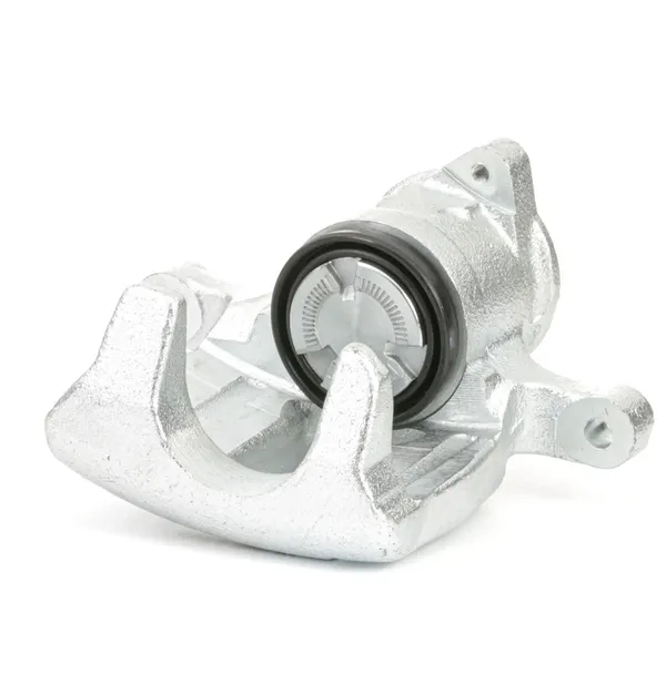 RIDEX Bremssattel Hinterachse links