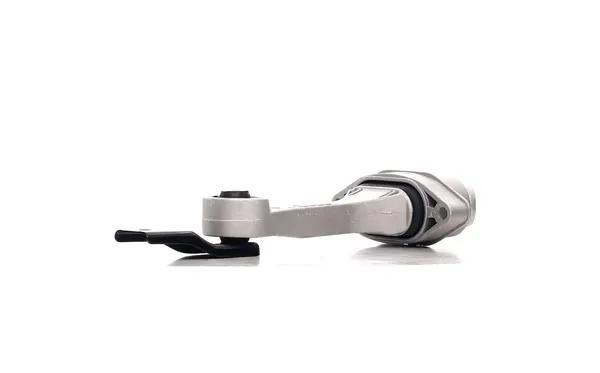 RIDEX Motorlager hinten