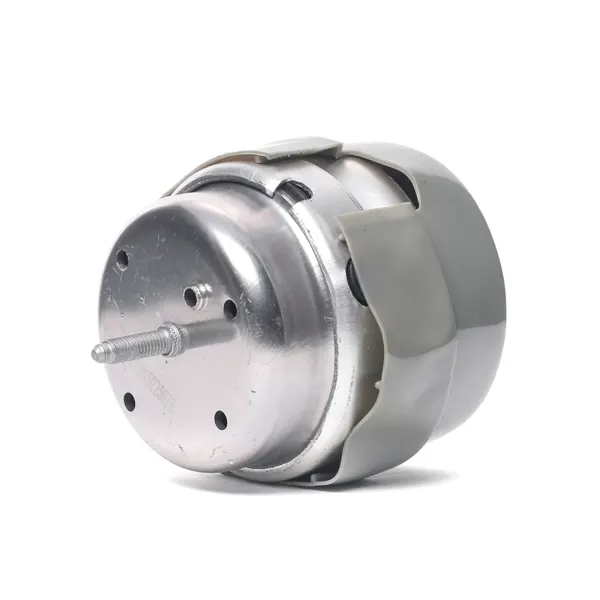 RIDEX Motorlager vorne links