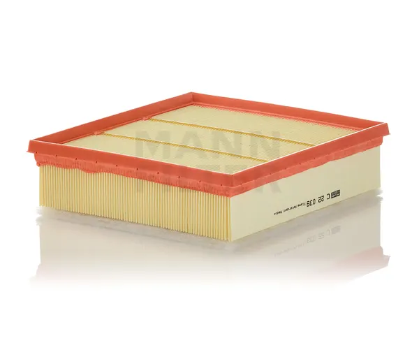 MANN-FILTER Luftfilter Filtereinsatz