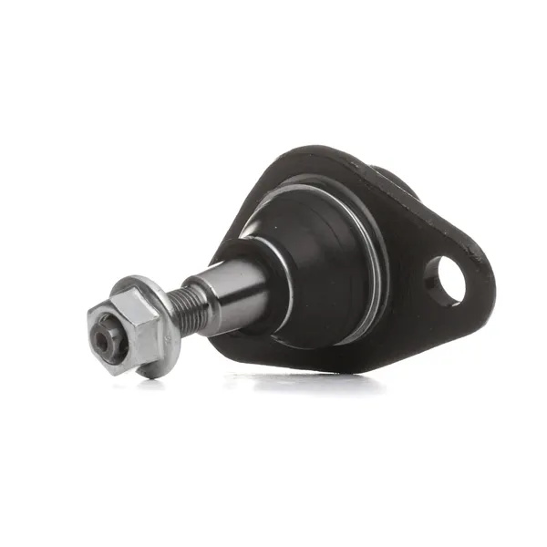 SKF Traggelenk mit synthetischem Fett