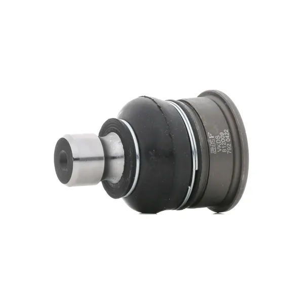 SKF Traggelenk mit synthetischem Fett