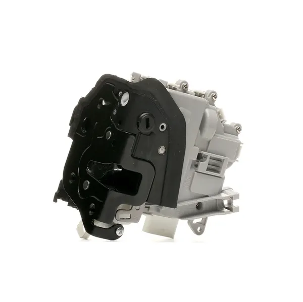 RIDEX Türschloß hinten links