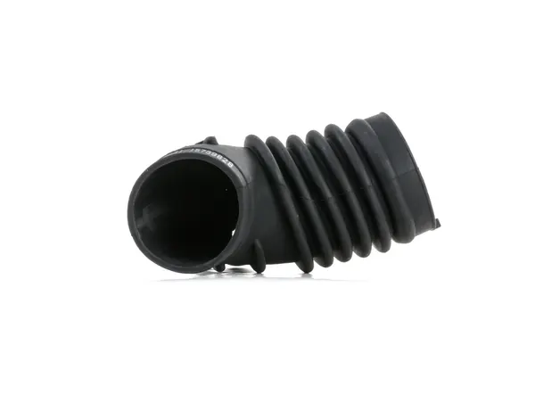 RIDEX Ansaugschlauch, Luftfilter