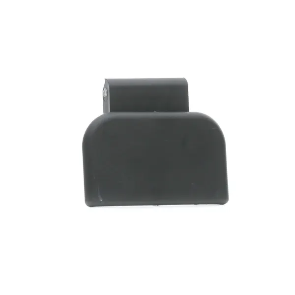 RIDEX Türgriff hinten