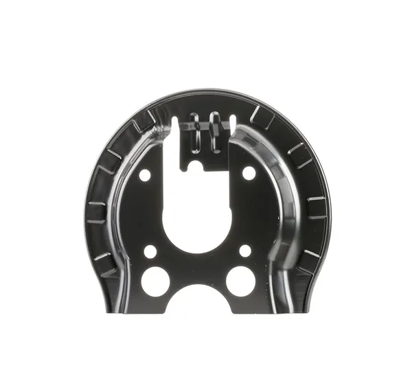 RIDEX Ankerblech Hinterachse