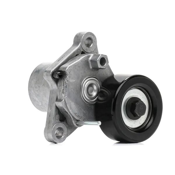 RIDEX Spannrolle