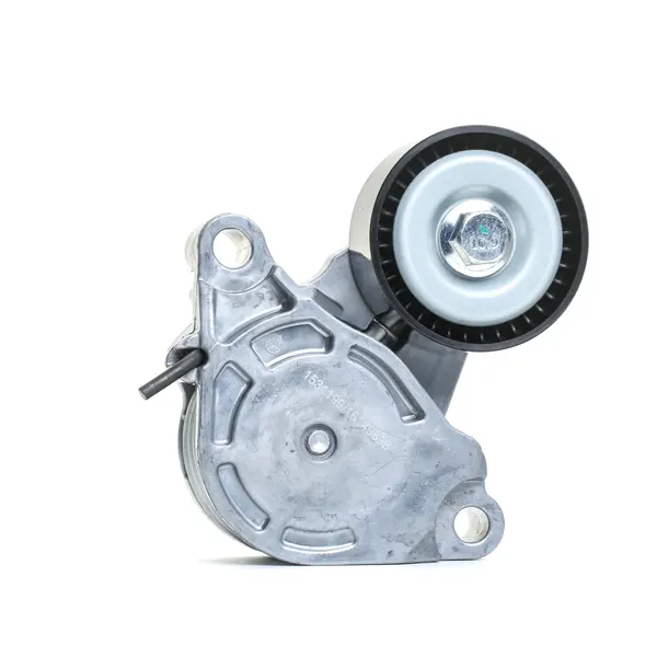 RIDEX Spannrolle