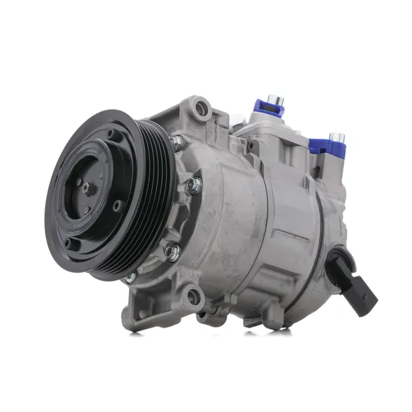 RIDEX Kompressor PAG 46