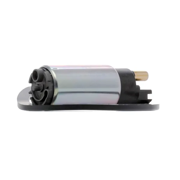 Delphi Kraftstoffpumpe Benzin