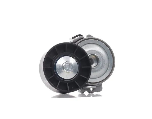 RIDEX Spannrolle