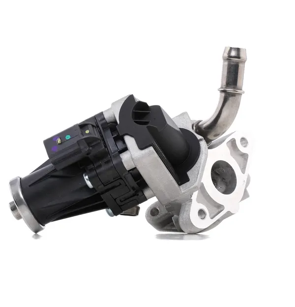 NGK AGR-Ventil elektrisch